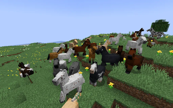 Realistic Vanilla Horses