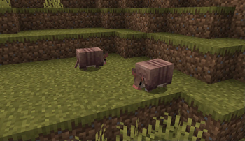 Refreshed armadillo