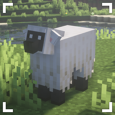 Remodeled Sheep