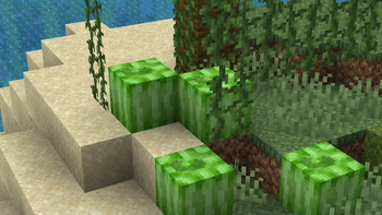 Retextured Melons