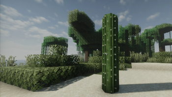 Round Cacti