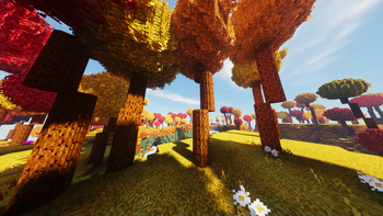 Round Trees