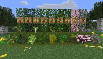 Seedy Saplings