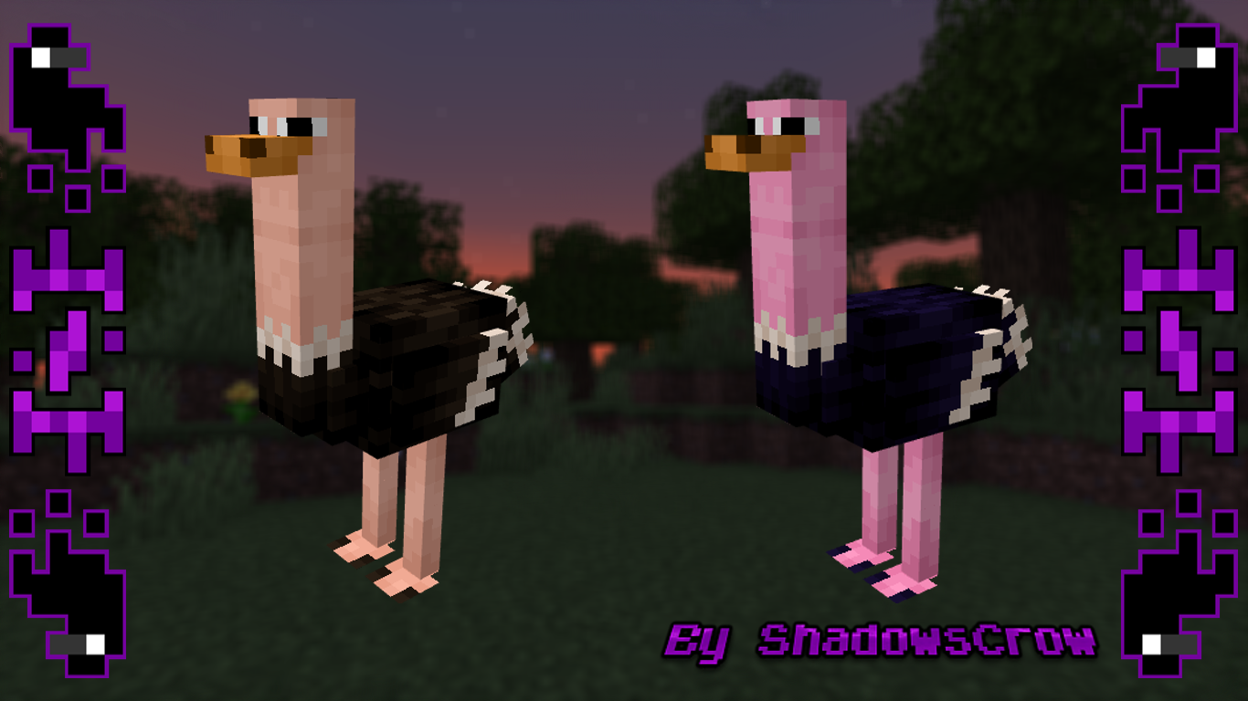 SHC Ostriches