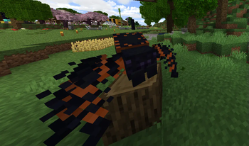SHC Spiders Add-on