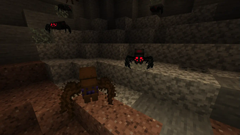 SHC Spiders