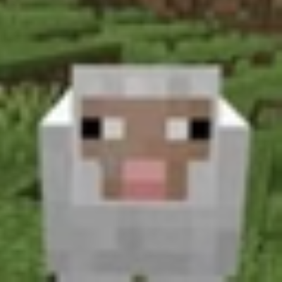 Sheep don't drop wool