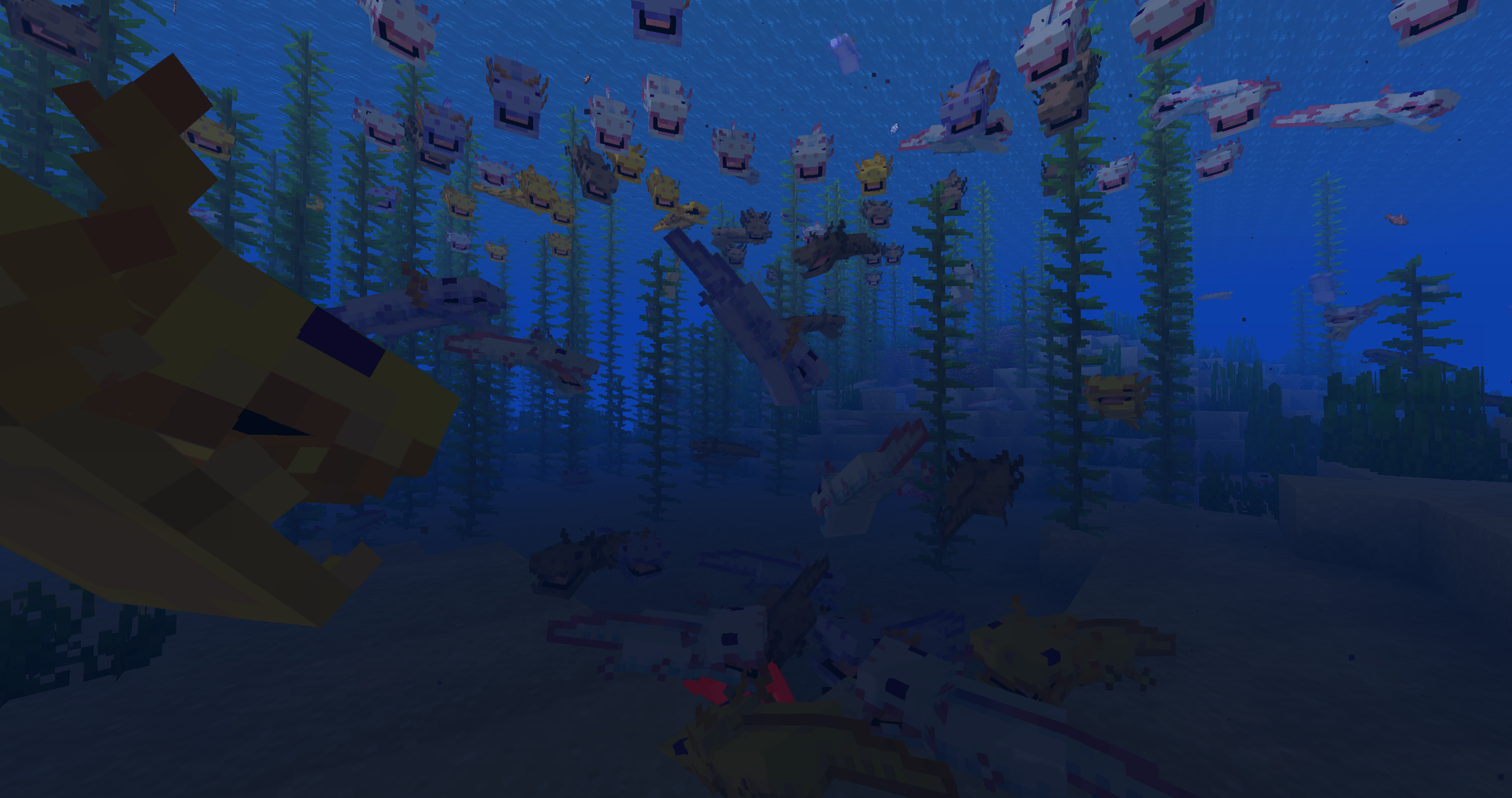 Shiny's Dracolotls