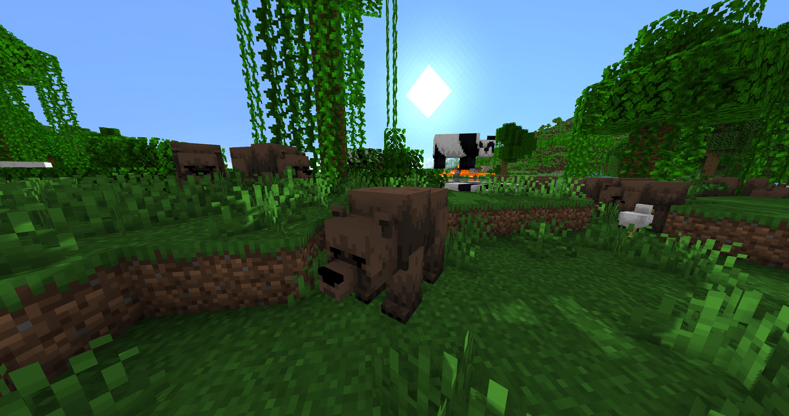 Shiny's Bears