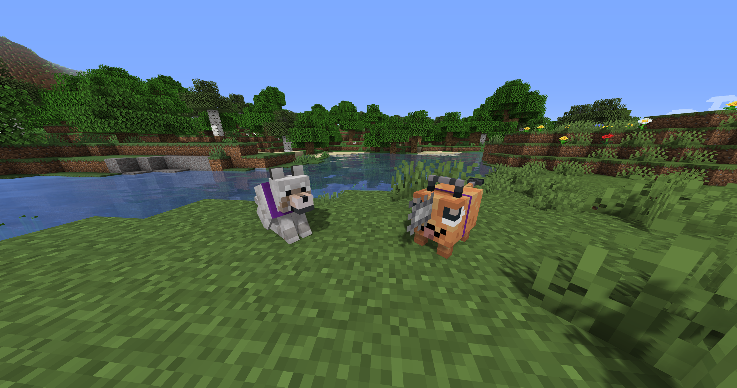 Shiny's Pochitas