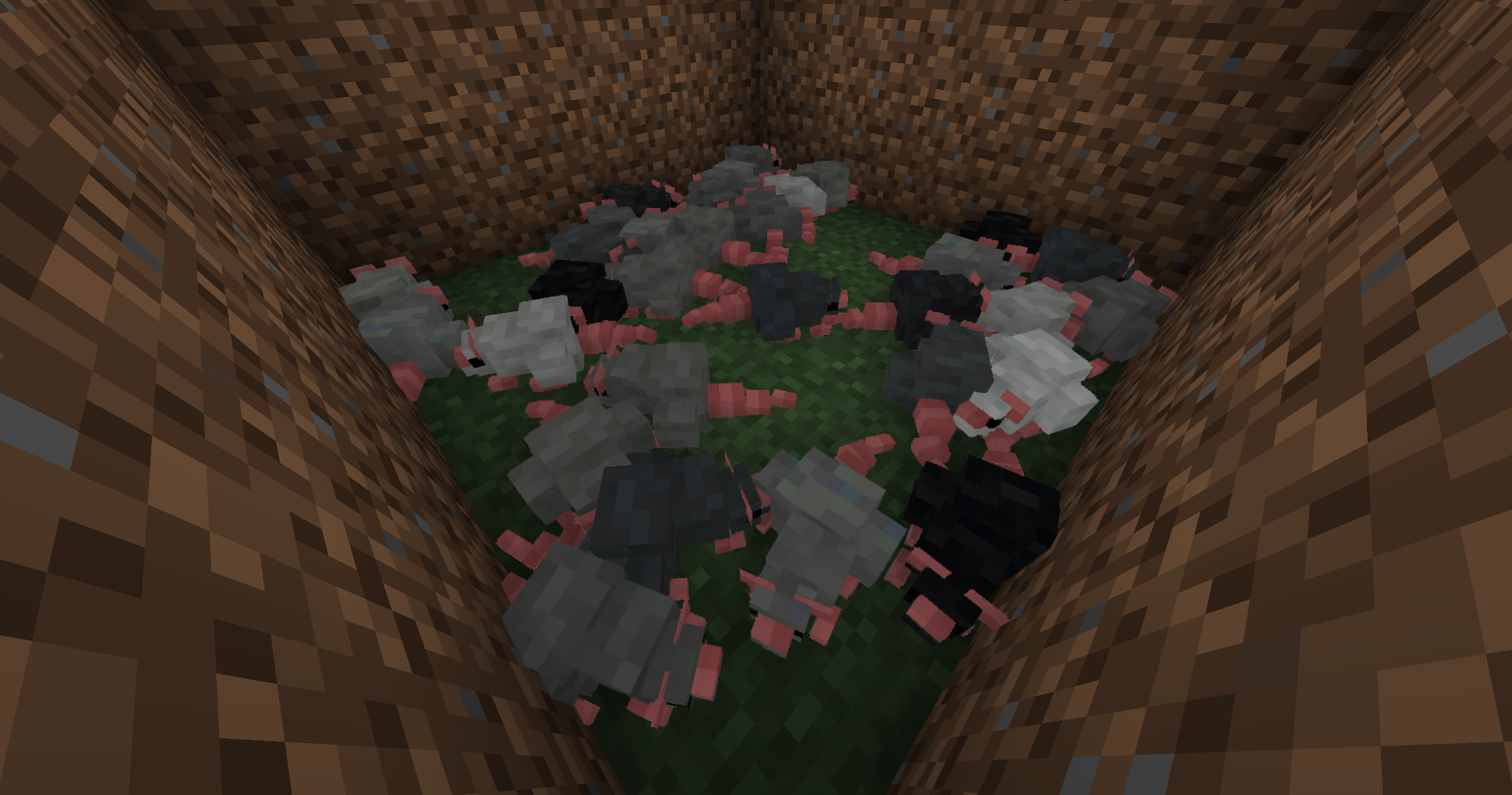 Shiny's Rats