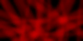 Wool Simple