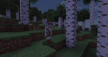 Skelly Archer