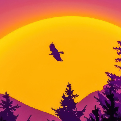 sky sunset mountain forest