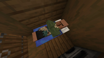 Sleeping Villagers