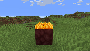 Small Items+