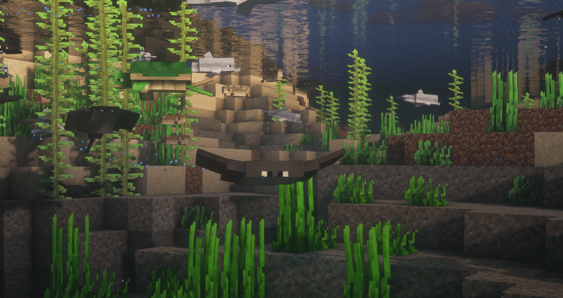 Stingrays [Cosmetic Addon]