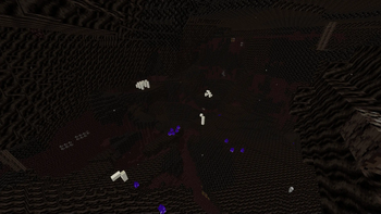 The Dark Nether