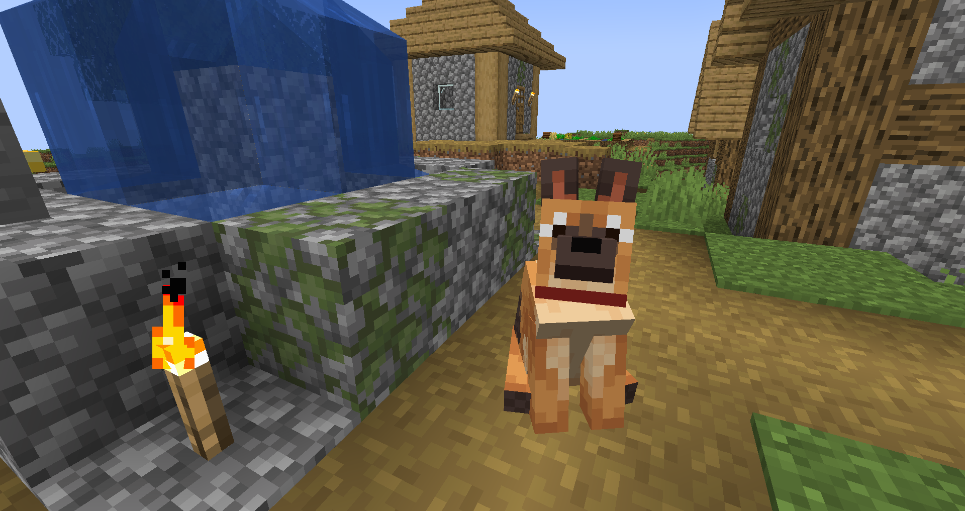 The Doggos