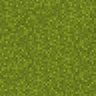 The Grass True