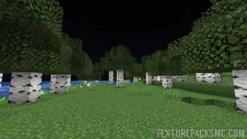 FullBright (No mods)
