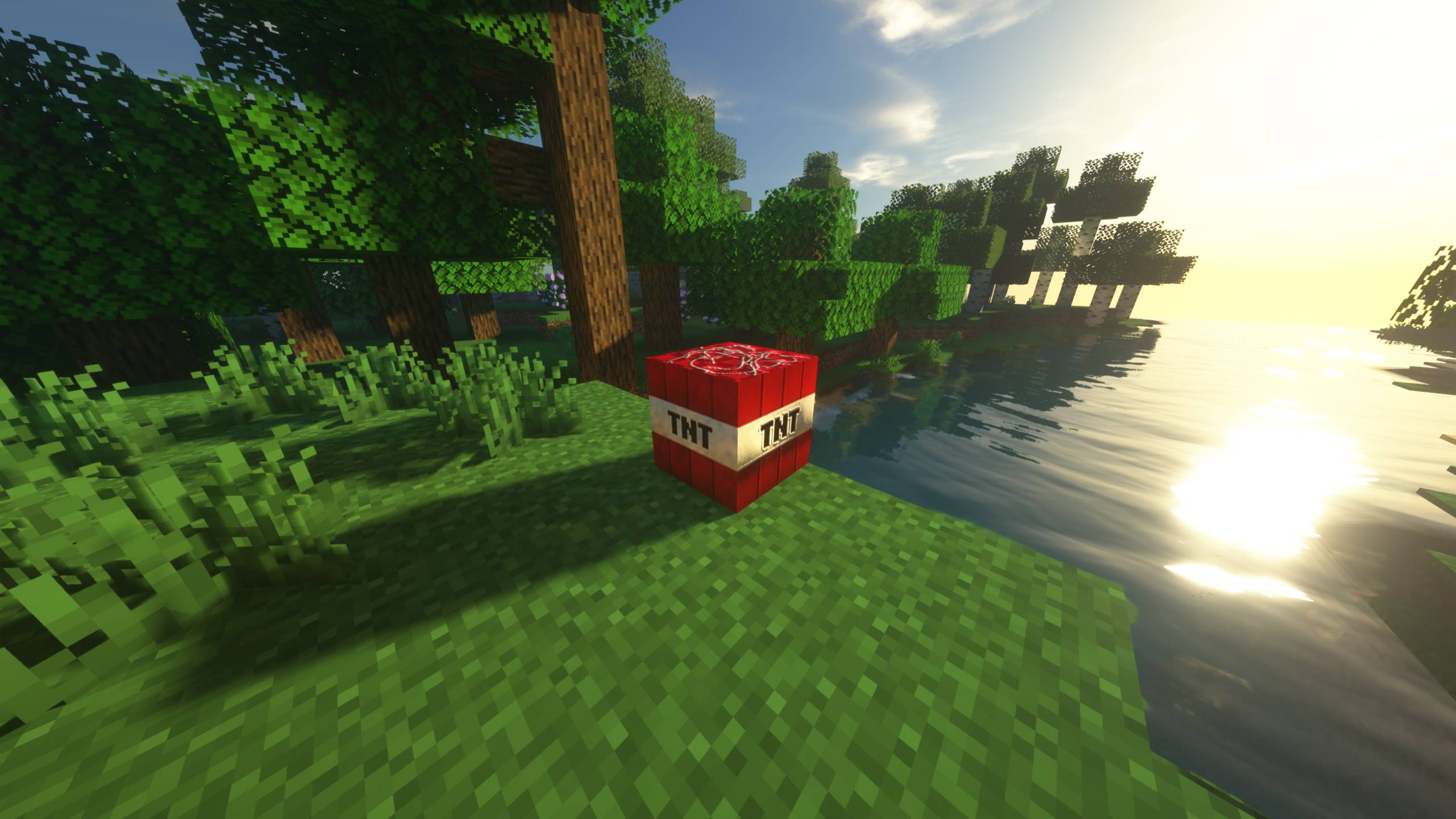TNT texture (From MC Movie)