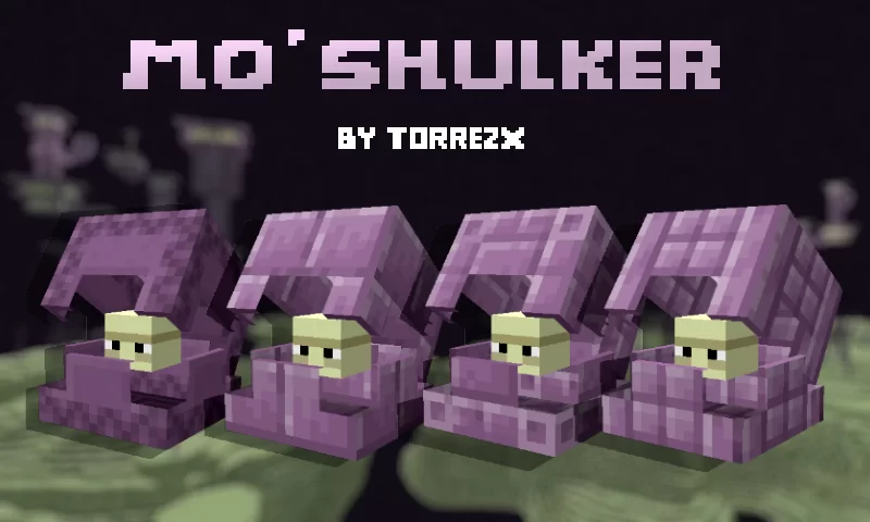 Torrezx-Mo shulkes