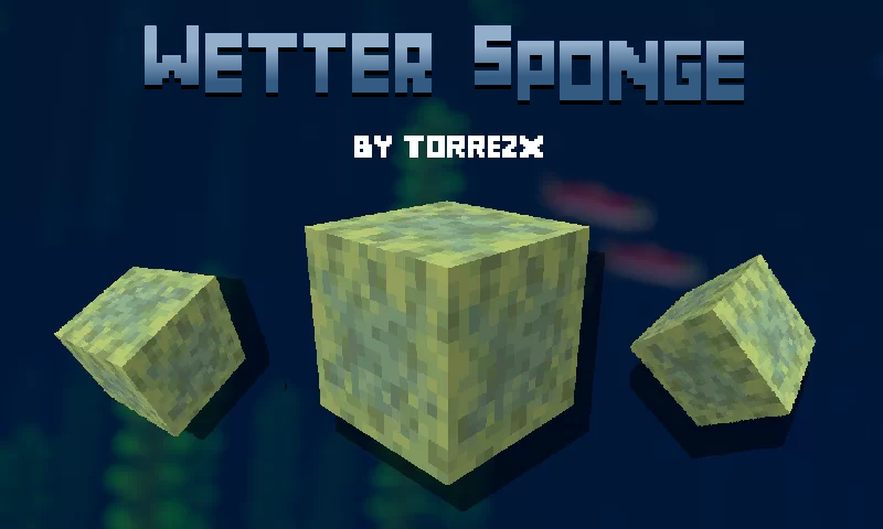 Torrezx-Wet sponge