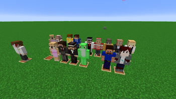 Trusted skin pack