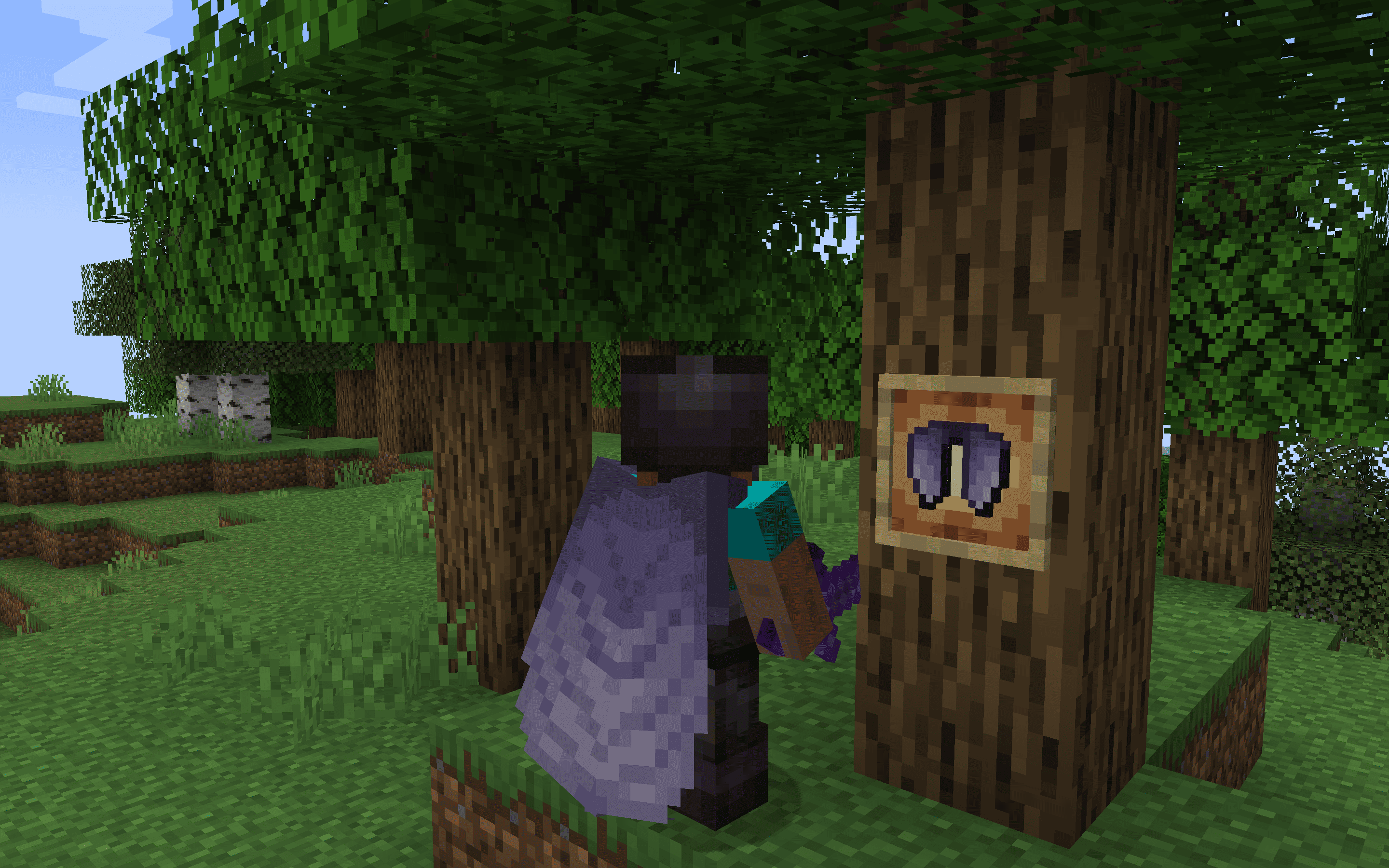 Classic+ Elytra - Better Wings