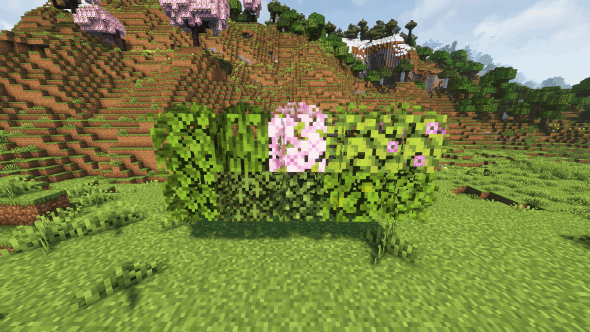 No Bushy Leaves