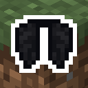 Black Elytra