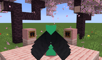 Black Elytra