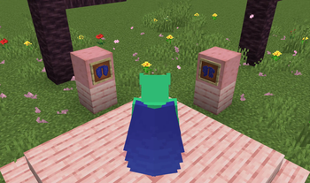 Blue Elytra