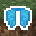 Light Blue Elytra