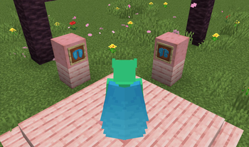 Light Blue Elytra