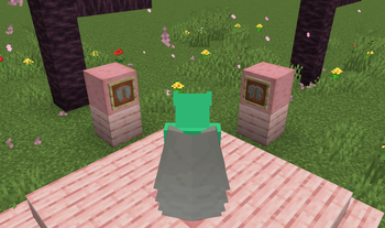 Light Gray Elytra