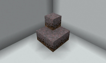 Lower Mycelium