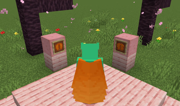 Orange Elytra