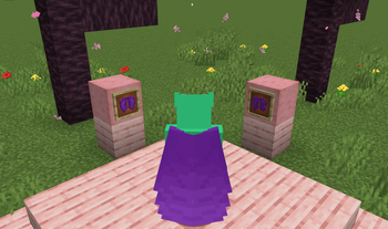 Purple Elytra
