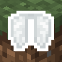 White Elytra