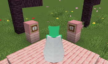 White Elytra