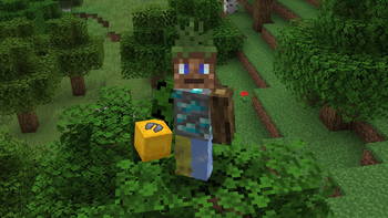 Visual Shulker Labels