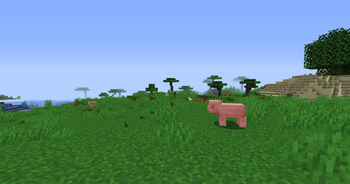 Wallibear Texture PVP 16x