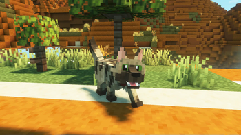 Wild Wolves x Fresh Animations