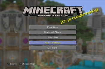 Windows 11 Edition Title