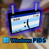Windows PIDS