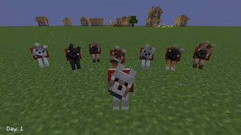 wolf eyes