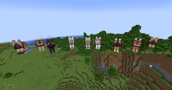 Wolf Variants