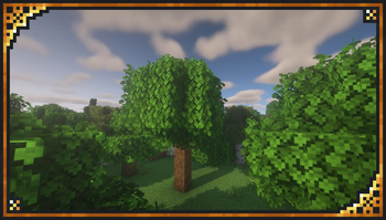 xali's Bushy Leaves